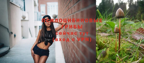 ALPHA PVP Медногорск
