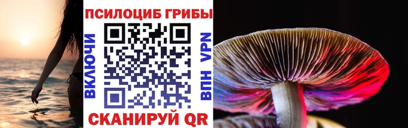 где можно купить   kraken вход  Псилоцибиновые грибы мухоморы  Урус-Мартан 