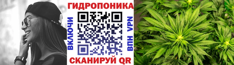 Бошки марихуана LSD WEED  как найти   kraken как войти  Урус-Мартан 